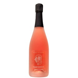 Franciacorta Rosé D.O.C.G....